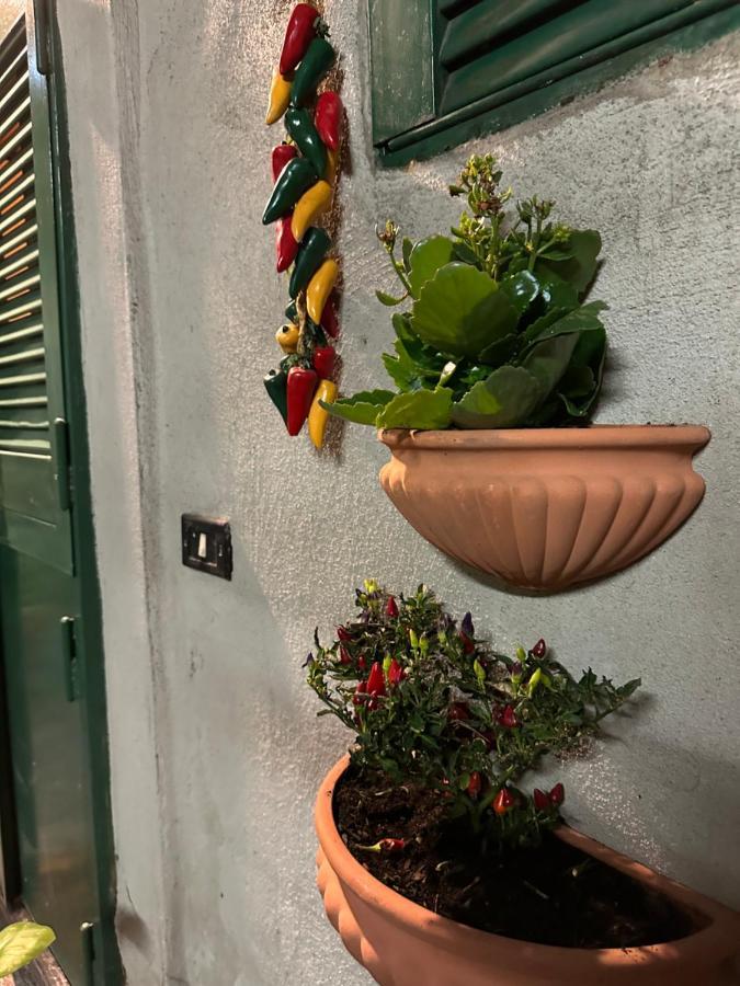 דירות Tiny House - Spaccanapoli מראה חיצוני תמונה